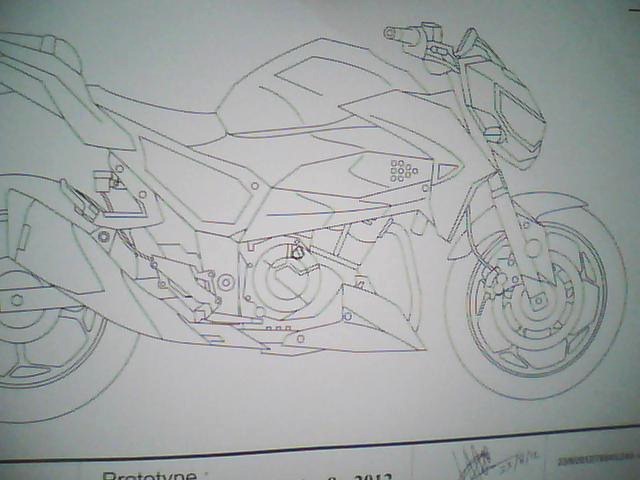 Kawasaki Ninja 300 Naked Motorcycle