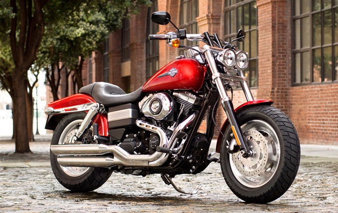 2013-Harley-Davidson-FXDF Dyna Fat Bob 3